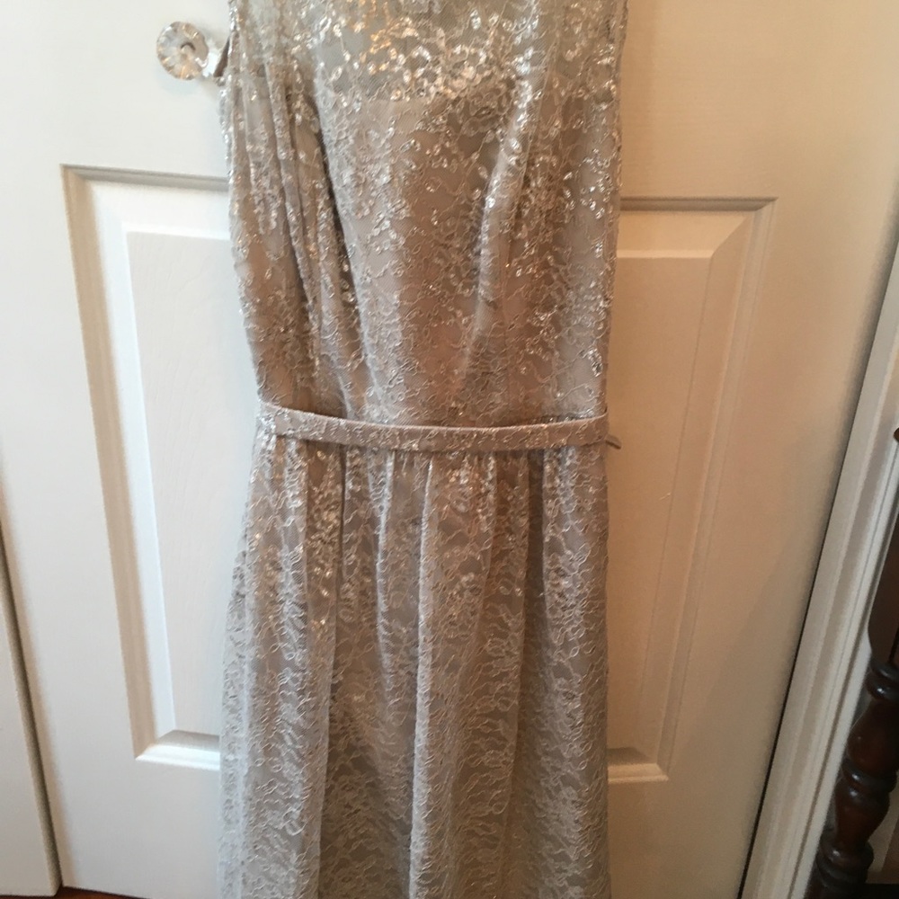 NWT Metallic Lace dress